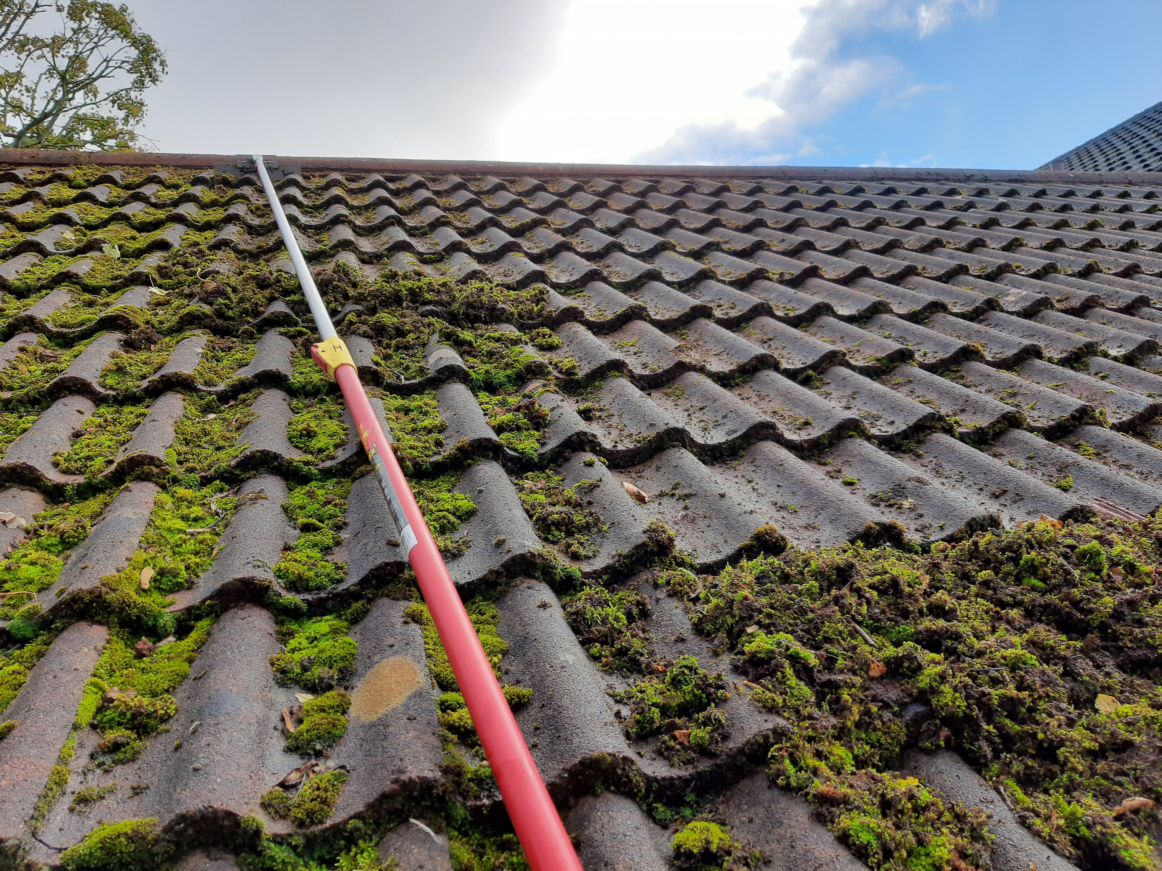 Roof Cleaning Wirral